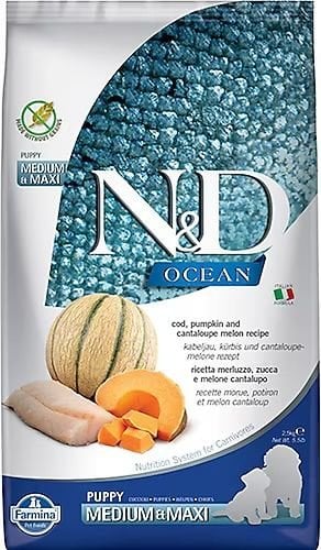 N&D Ocean Morina Balıklı Balkabaklı ve Kavunlu 2.5 kg Orta ve Büyük Irk Yavru Köpek Maması