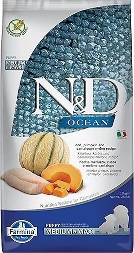 N&D Ocean Morina Balıklı Balkabaklı ve Kavunlu 12 kg Orta ve Büyük Irk Yavru Köpek Maması