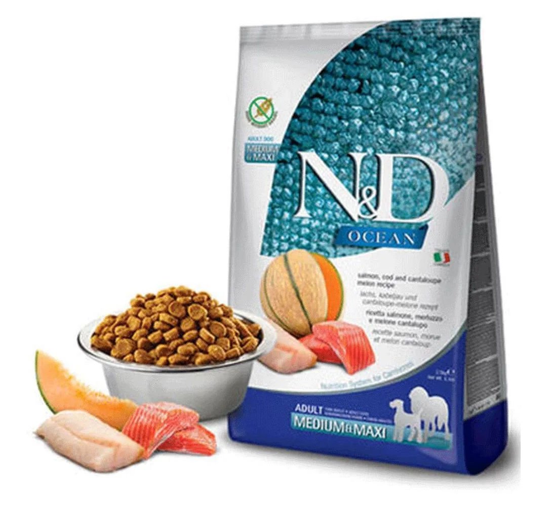 N&D Somon Morina Balıklı ve Kavunlu 2.5 kg Orta ve Büyük Irk Yetişkin Köpek Maması