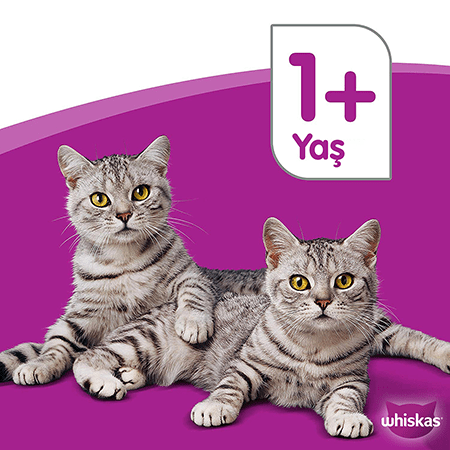 Whiskas Sıgırlı +1 Yaş Gravy Sos İçinde Konserve