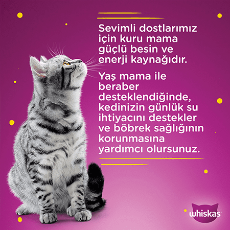 Whiskas Sıgırlı +1 Yaş Gravy Sos İçinde Konserve