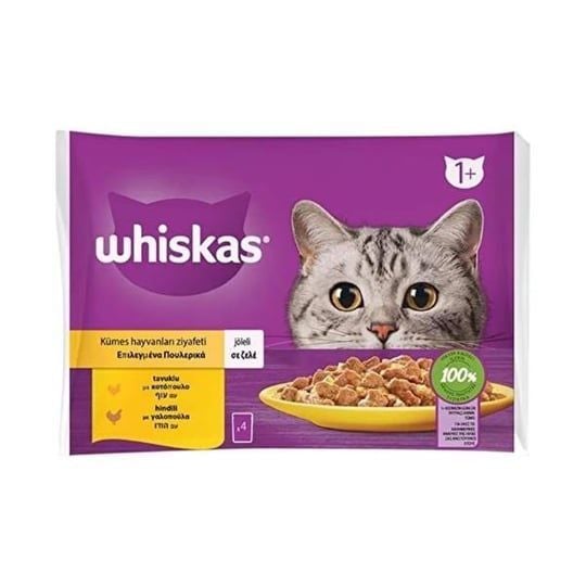 Whiskas Pouch Jöle İçinde Tavuklu ve Hindili Yetişkin Kedi Konservesi 85gr (4'lü)